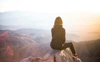 Seguridad Social: Pilar Fundamental en Recursos Humanos y Asesoramiento Laboral